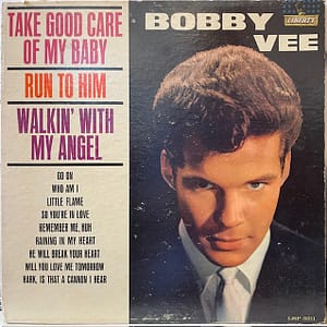 Take Good Care of My Baby (USED LP)