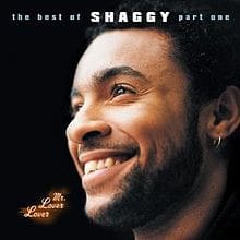 Mr. Lover Lover (The Best Of Shaggy...Part 1) (CD)