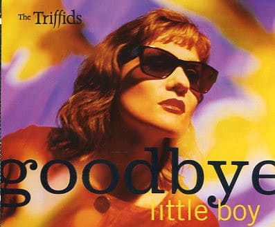 Goodbye Little Boy (CD)