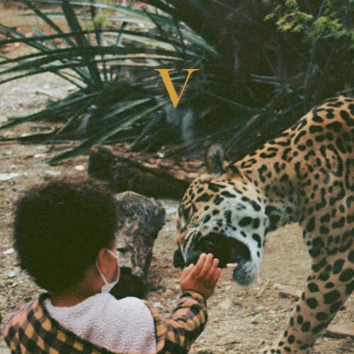 V (CD)