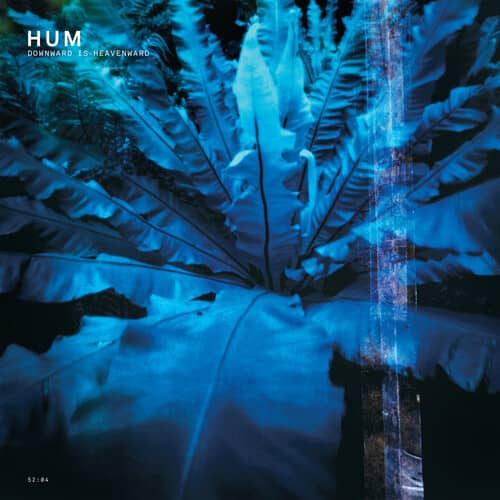 Downward Is Heavenward (CD)