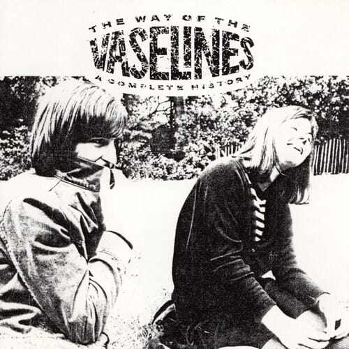The Way of the Vaselines (NEW LP)