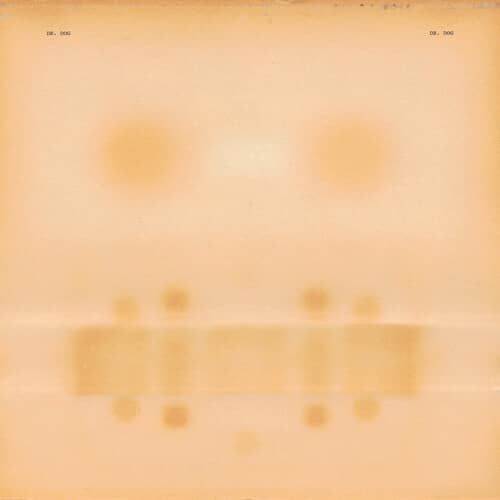 Dr. Dog (New LP)