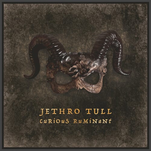 Curious Ruminant (CD)