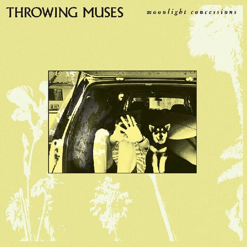 Moonlight Concessions (New LP)