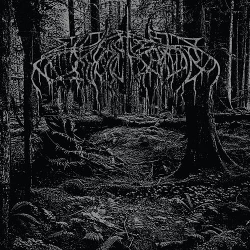 2005 Demo (New LP)