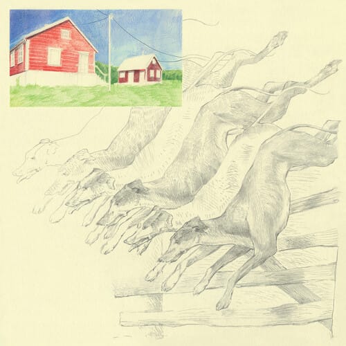 I Heard That Noise (New LP)
