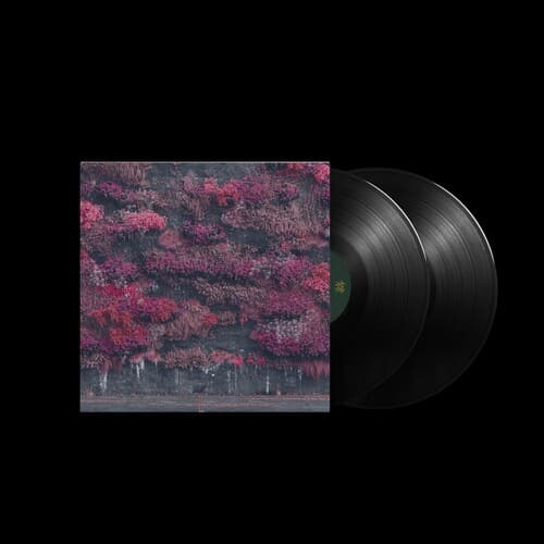 Even In Arcadia (New LP)