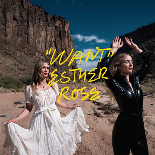 Want (New LP)