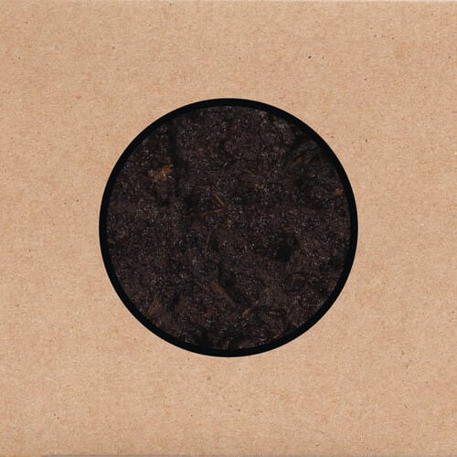 Birthing (CD)