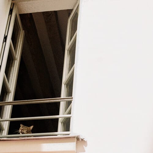 Something Soft (New LP)