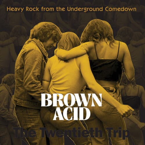 Brown Acid - The Twentieth Trip (CD)