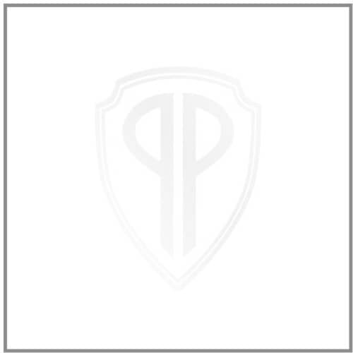 SAY YES TO LOVE (NEW LP)