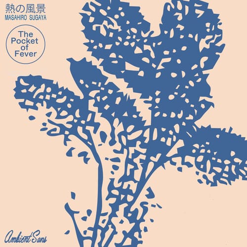 The Pocket Of Fever (New LP)
