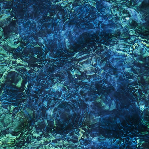 Luminescent Creatures (NEW LP)
