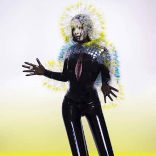 Vulnicura (NEW LP)