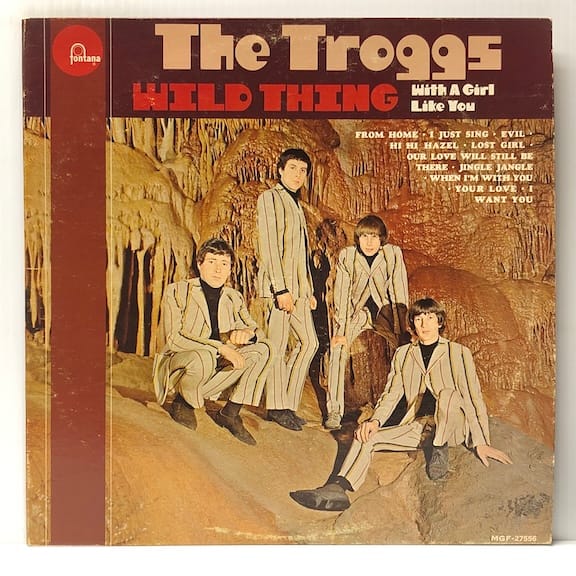 Wild Thing (USED LP)