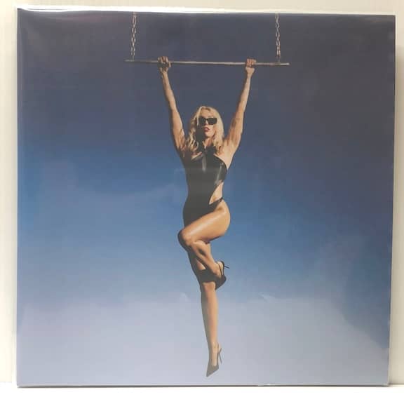 Endless Summer Vacation (USED LP)