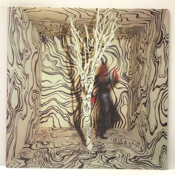 Revealer (USED LP)