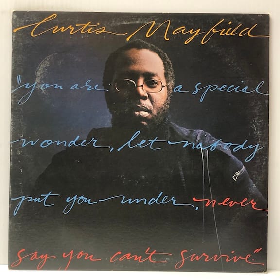 Never Say You Cant Survive (USED LP)