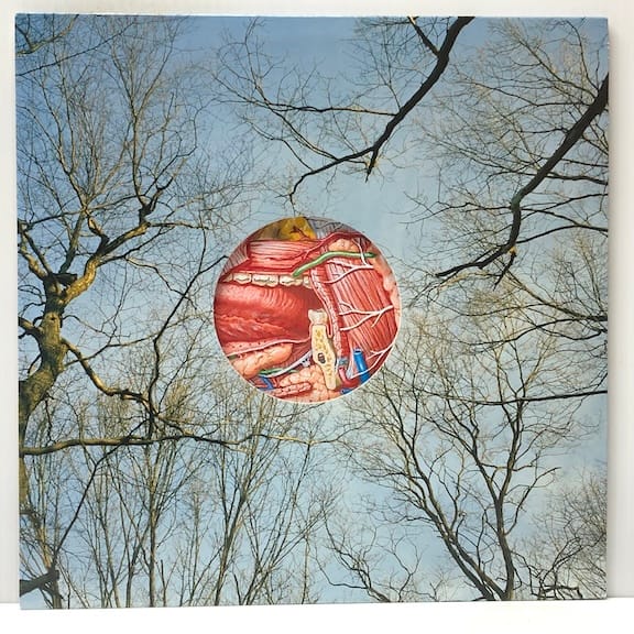 Glean (USED LP)