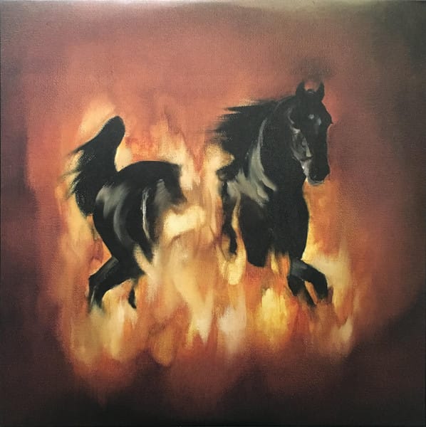 BESNARD LAKES ARE THE DARK (CD)