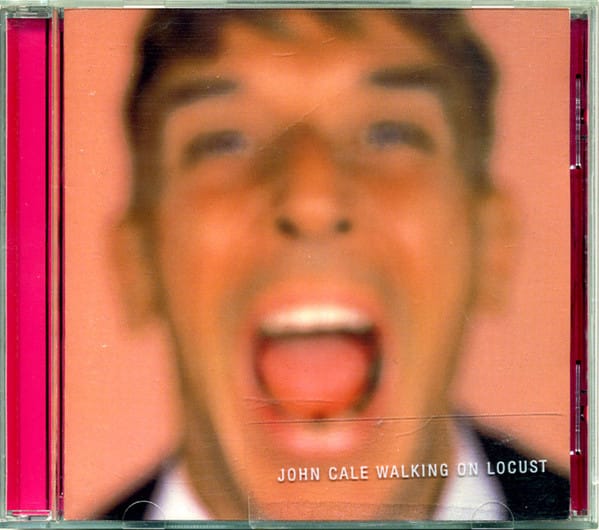 WALKING ON LOCUSTS (CD)