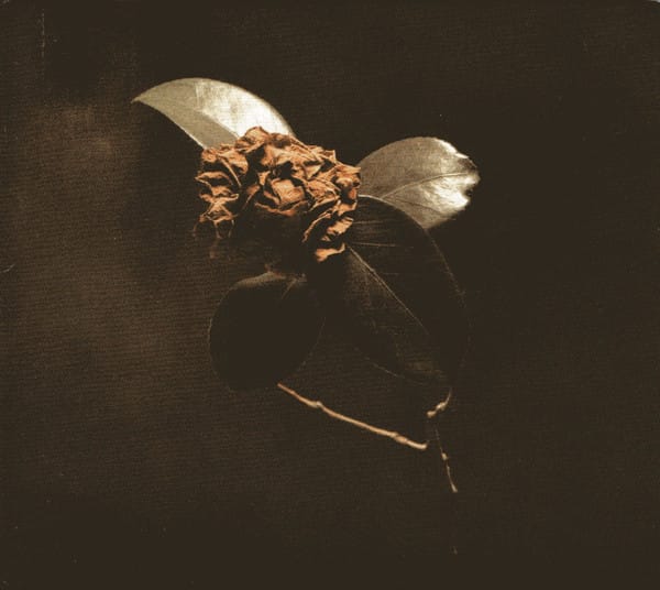 YOUNG SICK CAMELLIA (CD)