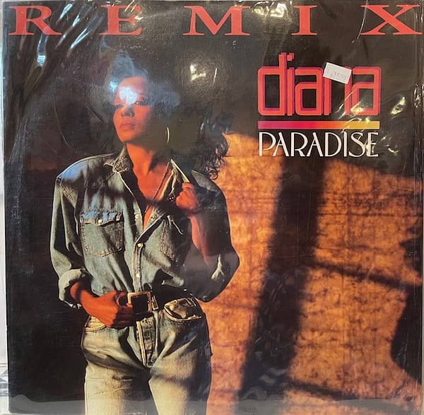 Paradise Remix (USED LP)