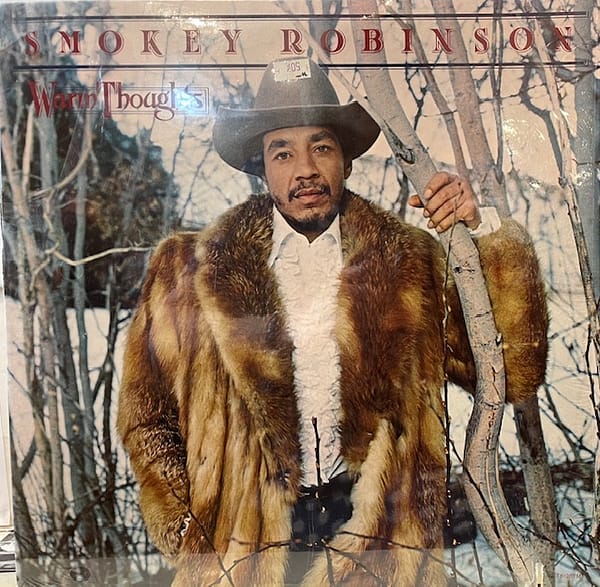 Warm Thoughts (USED LP)