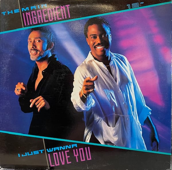 I Just Wanna Love You (USED LP)