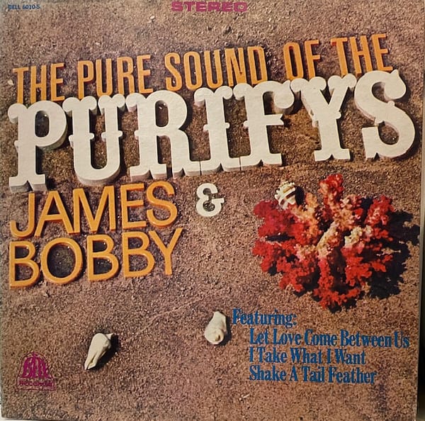Pure Sound of the Purifys (USED LP)