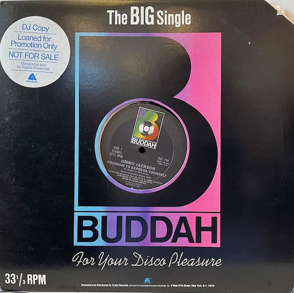 Freedom to Express Yourself (USED LP)