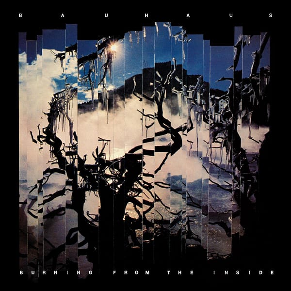 BURNING FROM THE INSIDE (NEW LP)