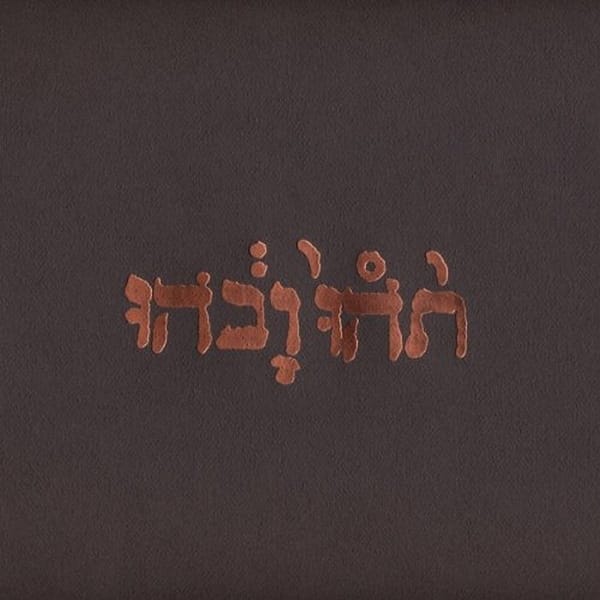 SLOW RIOT FOR NEW ZERO KANADA (NEW LP)