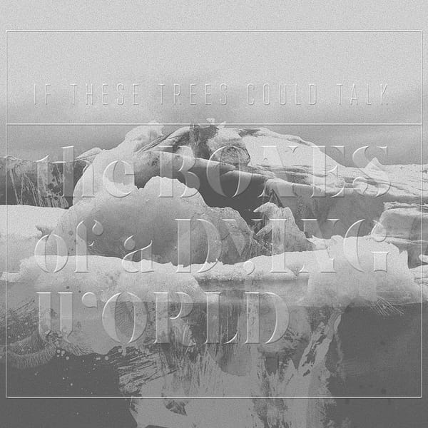 BONES OF A DYING WORLD (CD)