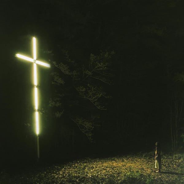 You Won't Go Before You're Supposed To (New LP)