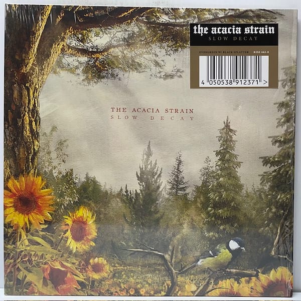 Slow Decay (USED LP)