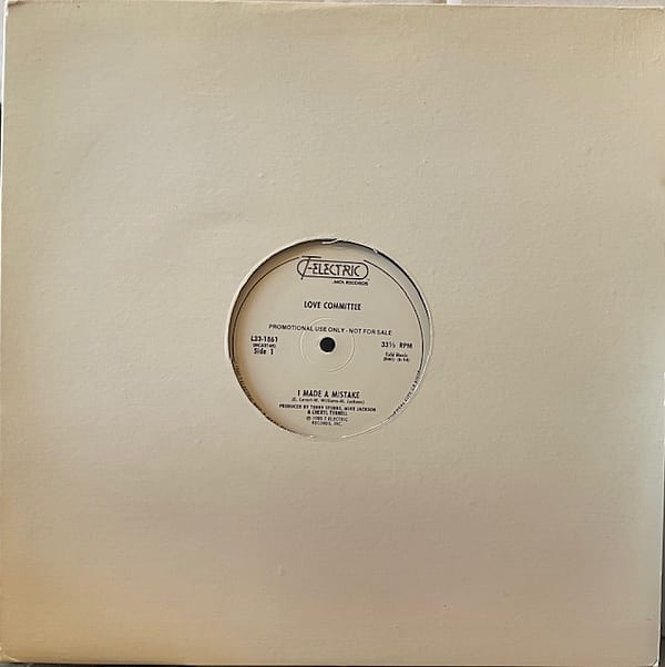 I Made a Mistake (USED LP)