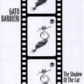 SHADOW OF THE CAT