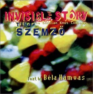 INVISIBLE STORY (CD)