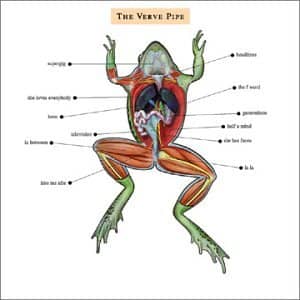 Verve Pipe (CD)
