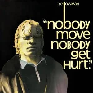 Nobody Move Nobody Get Hurt (New LP)