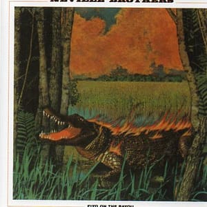 FIYO ON THE BAYOU (CD)
