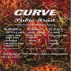 PUBIC FRUIT (CD)