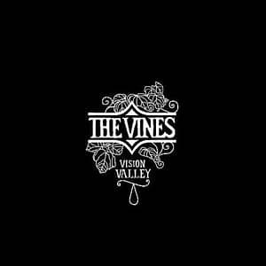 VISION VALLEY (CD)