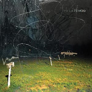 THIS STUPID WORLD (CD)