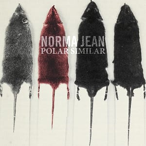 POLAR SIMILAR (CD)