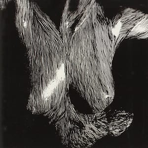 SELF PRESERVED WHILE THE BODIES FLOAT UP (CD)