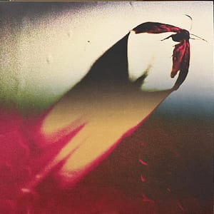 Are We All Angels (NEW LP)